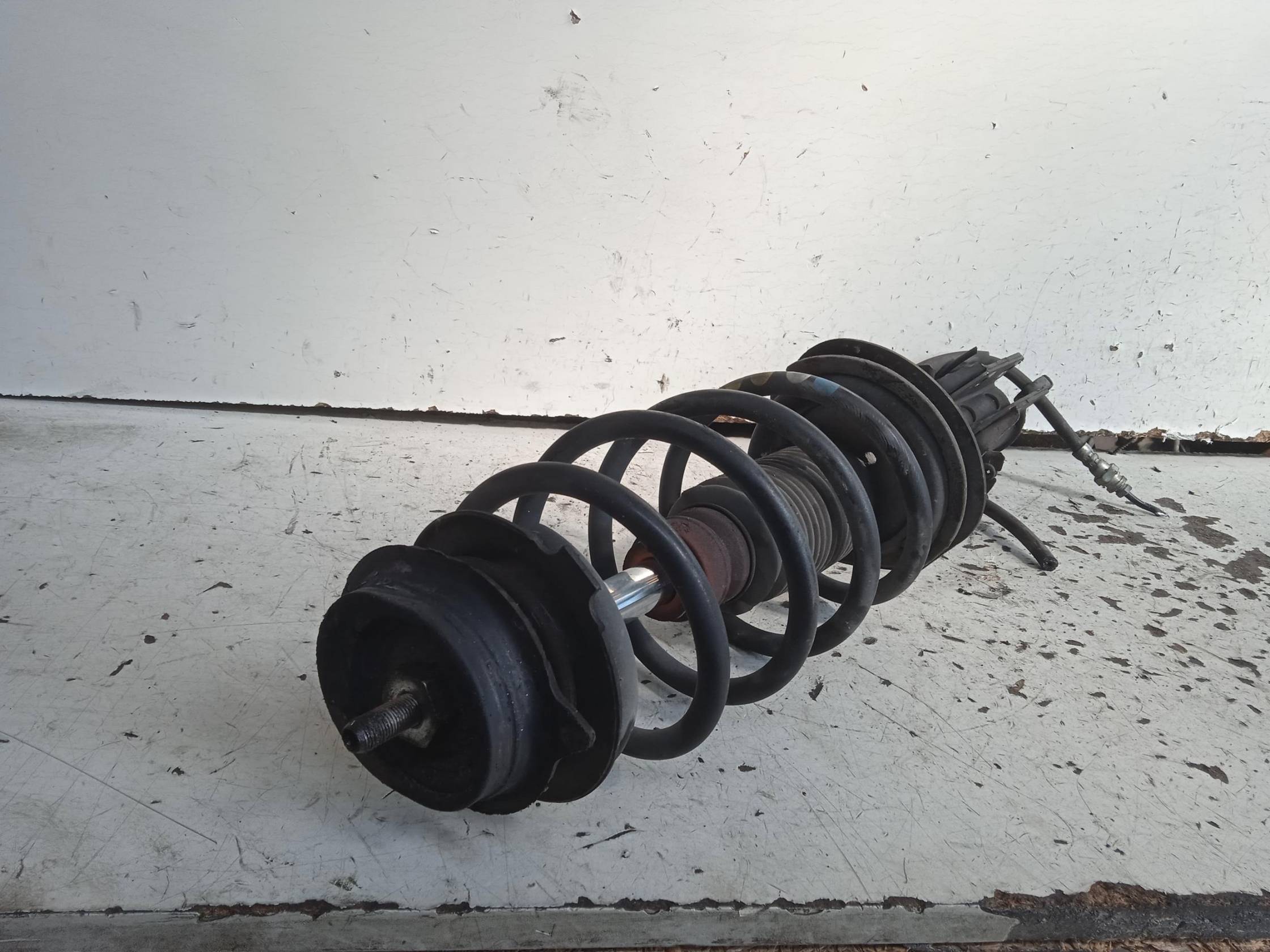 Ammortizzatore ant. sx.